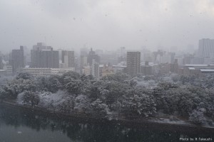 縮景園から上幟町地区を望む