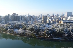 縮景園を望む